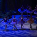 ballet-academy-funcion-fin-19-10